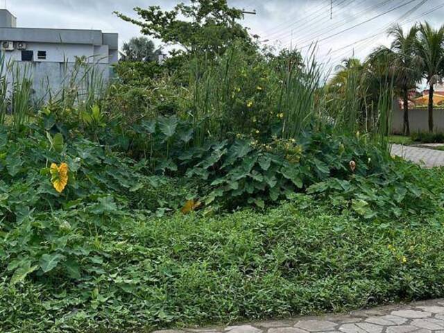 #186 - Área para Venda em Bertioga - SP